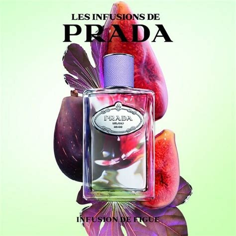 prada infusion discovery set|Prada infusion de figue.